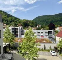 Charmante 3,5-Zimmer-Dachgeschosswohnung Altstadt Bad Urach