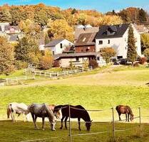 Ferienwohnung - 65,00 EUR Kaltmiete, in Steimel (PLZ: 57614)