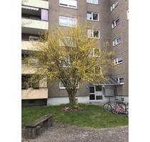 Neu-renovierte 3 Zimmer-Wohnung nur mit passendem Wohnberechtigungsschein - Ulm Donautal