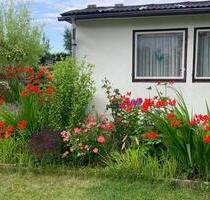 Schöner Kleingarten in Stralsund abzugeben