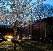Bauwagen zum Dauerwohnen - 60.000,00 EUR Kaufpreis, ca.  36,00 m² in Tespe (PLZ: 21395)