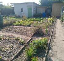 Garten in Mockau - 159qm - 999,00 EUR Kaltmiete, ca.  0,00 m² in Leipzig (PLZ: 04129) Nord