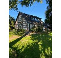 Fachwerkhaus Lotte Osterberg - 1.350,00 EUR Kaltmiete, ca.  220,00 m² in Lotte (PLZ: 49504)