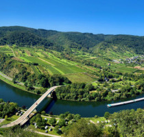Waldstück bei Neef, 988m², Top Aussicht über die Mosel - Peterswald-Löffelscheid