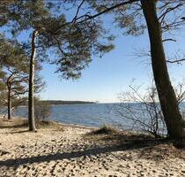 FerienhausFerienwohnung Monima Rügen Ostsee Insel Strand - Bergen auf Rügen