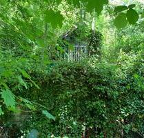 Garten mit kleiner Hütte in Pfaffenhofen - Sachsenheim