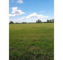Grünland, Weide in Voigtstedt - 152,00 EUR Kaltmiete, ca.  0,00 m² in Wallhausen (PLZ: 06528)