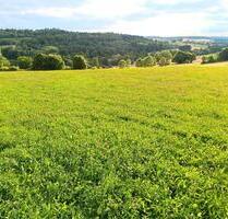 Wiesengründstük in Hessen - Mücke - Herbstein