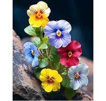 3 Raum, 85m³, eign.Garten, 5km v.Freiberg