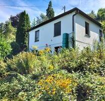 Haus zu vermieten - idyllisch auf 1000qm & Stadtnah - Stuttgart Vaihingen