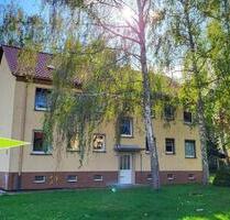 wunderschöne, gepflegte 3 Zimmer Wohnung in Sachsen-Anhalt - Elsteraue