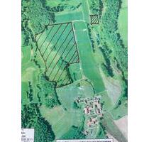 Landwirtschaftliche Flächen - 10,00 EUR Kaltmiete, ca.  0,00 m² in Bernhardswald (PLZ: 93170)