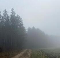 Wald-Grundstück Messstetten - 5.000,00&nbsp;EUR Kaltmiete, ca.&nbsp; 0,00&nbsp;m&sup2; in Meersburg (PLZ: 88709)