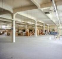 1100 qm Hallenfläche für Lager, Produktion, Handel, Fitness etc. - Reichenbach im Vogtland