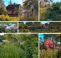Schweden Ferienhaus Südschweden m. Boot u. Sauna - Schallstadt