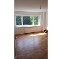 Schönes 1-Zimmer-Appartement mit EBK in Kassel-Kirchditmold