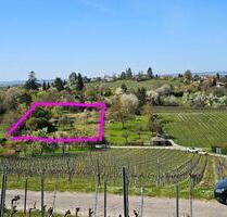 Garten, Grundstück - 107.500,00 EUR Kaufpreis, in Heilbronn (PLZ: 74081) Horkheim