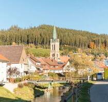 Feine 3-Zimmer- Altbauwohnung im Erdgeschoss - Vöhrenbach