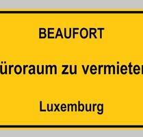 ‼️OFFICE - Ihr Büro in LUX - 13 m2, separater Eingang, 199 €‼️ - Bollendorf Laufenwehr