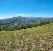 3-Zimmerwohnung Südbalkon Bezug 1.1.15.1. Trudering - München Ramersdorf-Perlach