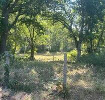 Baugrundstück Zühlsdorf - schöne Lage direkt am Wald - Oranienburg