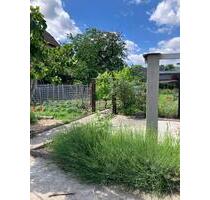 Gemüsegarten in Krefeld Fischeln zu verpachten - Moers