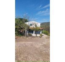 Alghero: Typisches Sardisches Ferienhaus zwischen Olivenbäumen - Fuchstal