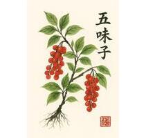 Praxisraum zu vermieten - 120,00&nbsp;EUR Kaltmiete, in Berlin (PLZ: 10437) Pankow