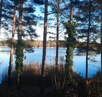 Wochenendgrundstück 750 qm in Möhlau am Möhlauer See zu verkaufen - Gräfenhainichen Zschornewitz