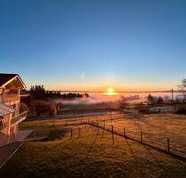 Fewo in KfW-55 Haus, 140 qm, Hund Ja, Obb. - Wessobrunn