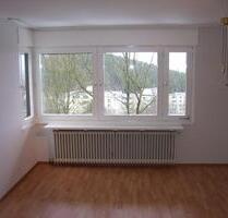 Helle 1 Zimmerwohnung Goslar Steinberg