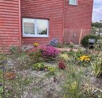 Wohnung auf Resthof in Nienborstel -ruhig, modern und charmant- - Todenbüttel