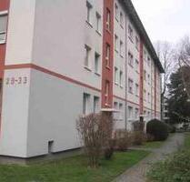 Grüne Lage ! 2025 SanierteRenovierte 3-Zimmer-Stadtwohnung - Frankfurt am Main Eschersheim