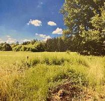 Kleiner Bauernhof, Weitblick, Pferdeparadies, Selbstversorger - Wittlich