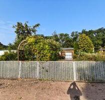 Kleingarten Abzugeben - 300,00 EUR Kaltmiete, ca.  0,00 m² in Köthen (Anhalt) (PLZ: 06366)