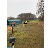 Grundstück zur Pacht - 250,00 EUR Kaltmiete, ca.  0,00 m² in Crivitz (PLZ: 19089)