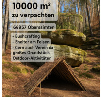 Wald mit Felsen - Bushcraft u Outdoor Aktivitäten - Ruppertsweiler