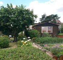 Pachtgarten - 3.700,00 EUR Kaltmiete, ca.  0,00 m² in Taucha (PLZ: 04425)