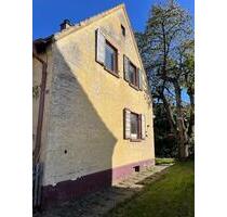 Doppelhaushälfte in Römerberg-Berghausen - Schifferstadt