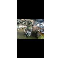 Gewerbefläche - Lagerhalle - Lagerfläche zu vermieten - Teilfäche - Rodgau