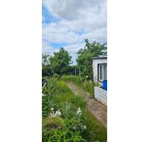 Kleingarten- KGV -Morgensonne - 1.000,00 EUR Kaltmiete, ca.  0,00 m² in Zwickau (PLZ: 08056)