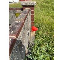 Laube Datsche Gartengrundstück im Aussenbereich Döbeln zu vermiet
