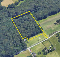 Obstwiese zum biologischen Selbstanbau in Südhanglage, grunderwerbssteuerfrei - Herdecke