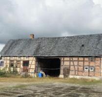 wecke kleines Bauernhaus aus Dornröschenschlaf - Osterburg (Altmark)