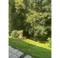 2Z-Wohnung, Küche, Diele, Bad, Terrasse, in Wachtberg Pech
