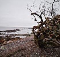 Winterurlaub auf Rügen - Fewo in Sassnitz (Angler, Wanderer <3)