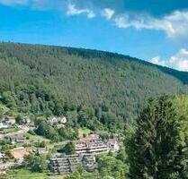 Attraktive 2 Zimmer- Wohnung EBK, Dusche,Badewanne,Garage,Aufzug - Bad Wildbad