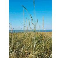 Ferienwohnung Nordseeküste Friesland Wangerland Minsen