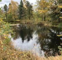 Fischteich zu vermieten - 300,00 EUR Kaltmiete, ca.  0,00 m² in Sassenburg (PLZ: 38524)