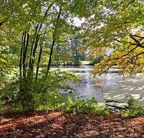 3 ZKB Bielefeld Altenhagen - 667,00 EUR Kaltmiete, in Bielefeld (PLZ: 33729) Heepen